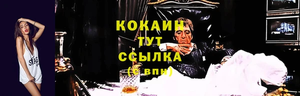 спиды Чегем