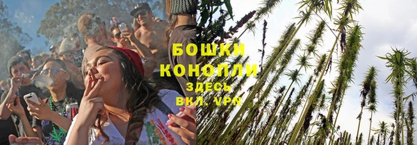 мяу мяу мука Кинешма