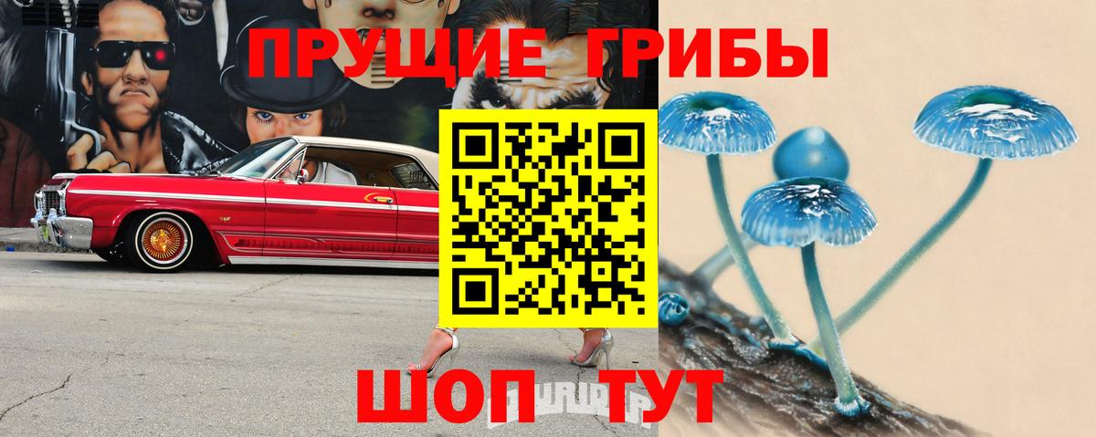 Псилоцибиновые грибы мицелий Петрозаводск