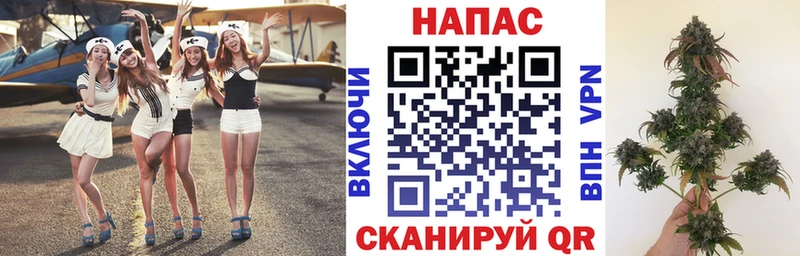 Канабис VHQ  Петрозаводск 